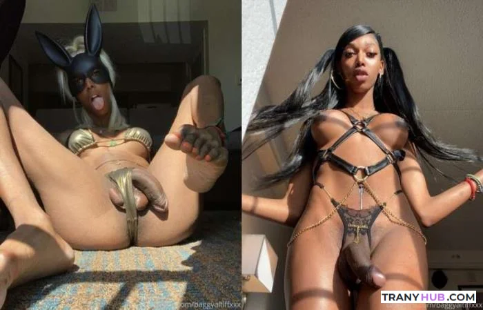 Baggyaltiff - Massive 56-Video Big Dick Shemale Collection