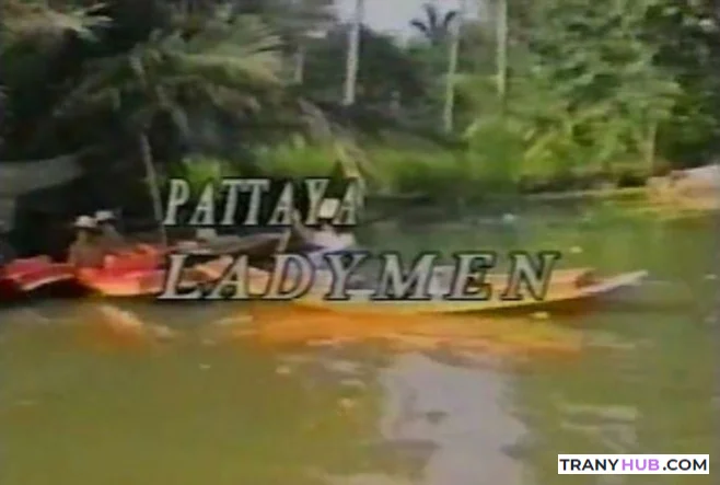 LadyMen Pattaya Vol. 1 - Asian Teen Ladyboy Orgy